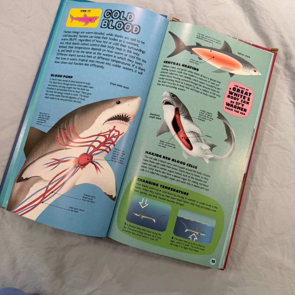 Silver Dolphin Build The Shark Book and 35 Piece Great White Model Kit 2.5 Feet